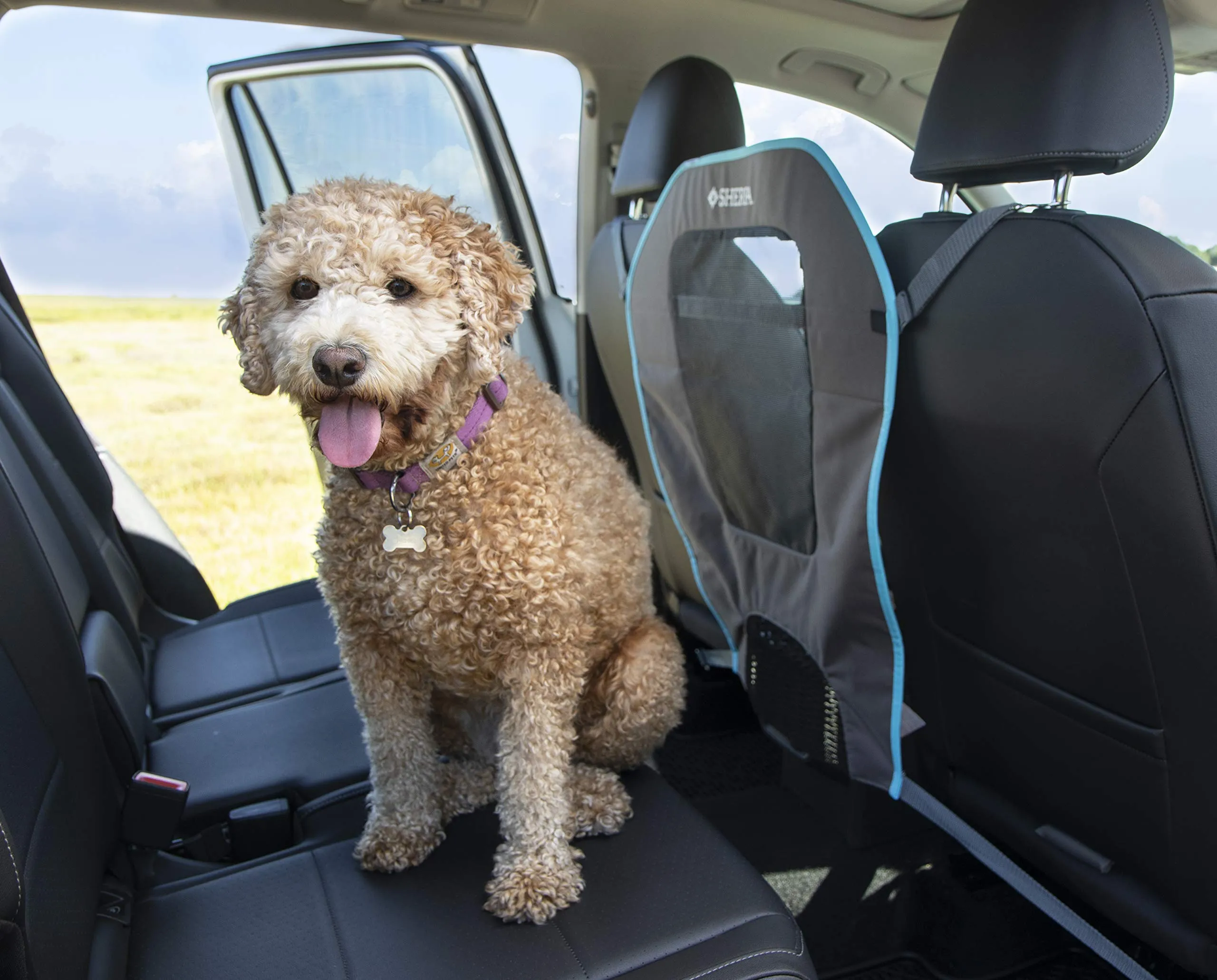 Car Accessories for Pets - Mesh Barrier