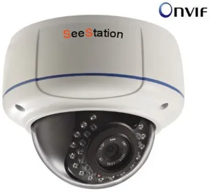 SeeStation (IP) CIP2220V-4W IP Dome Camera Vandal Resistant 4MP