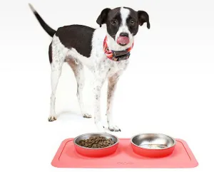 The Good Bowl Double Pet Feeder - Coral